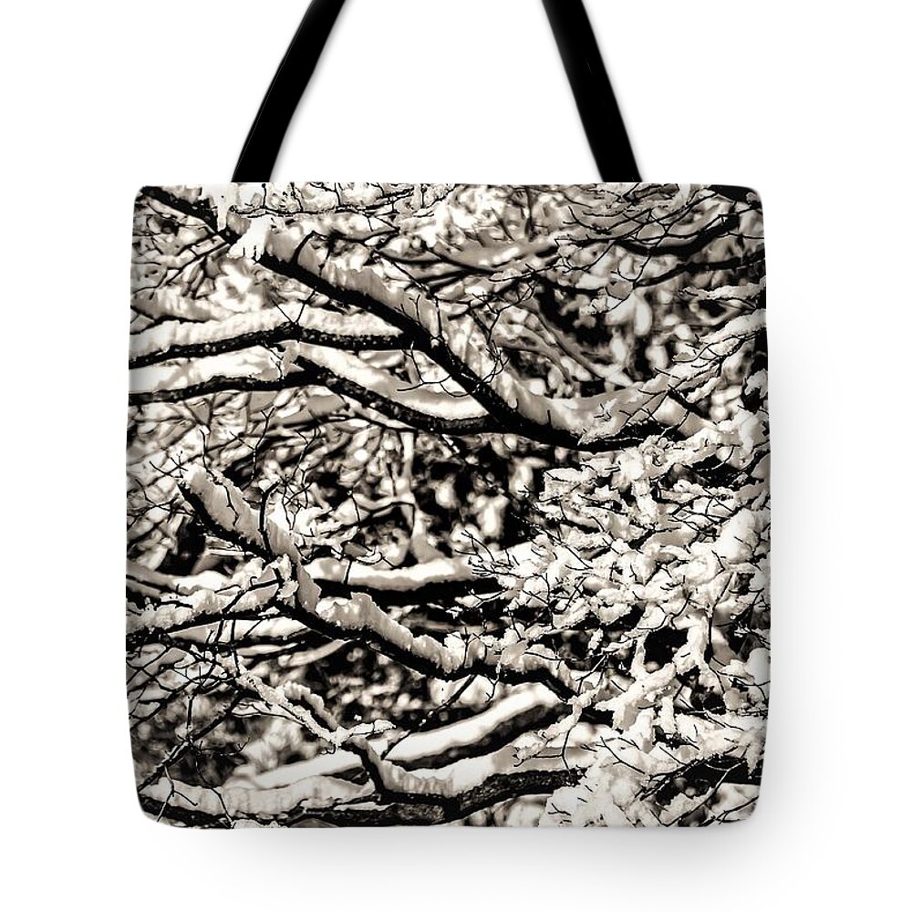 Snow Branch Tree B&w Tote Bag featuring the photograph Snow Branch by John Linnemeyer