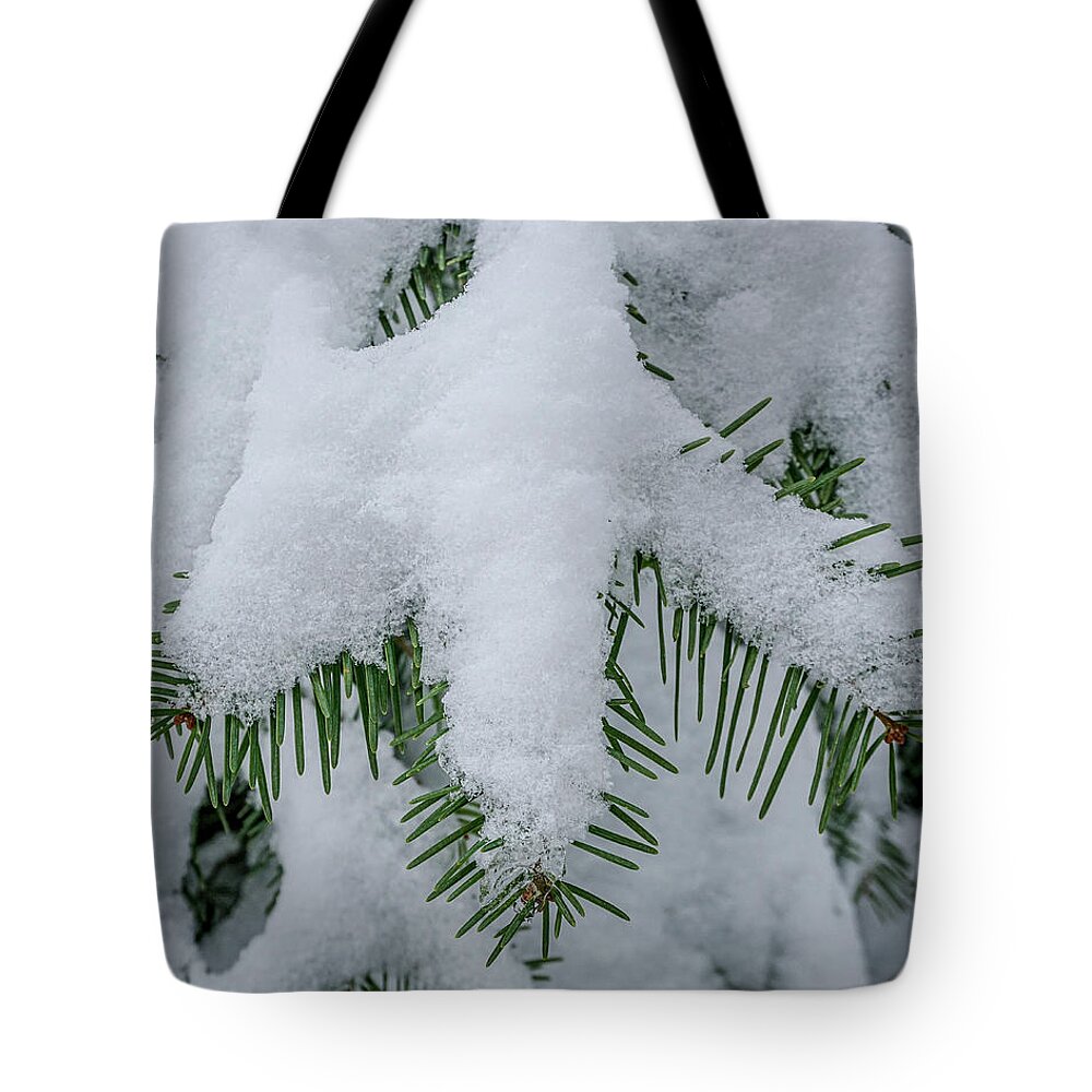 Snow Tote Bag featuring the photograph Snow by Brett Harvey