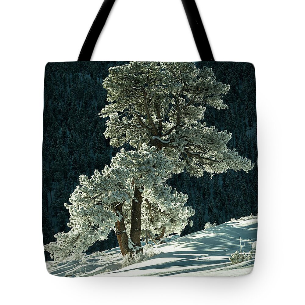 Colorado Tote Bag featuring the photograph Snow covered tree - 9182 by Jerry Owens