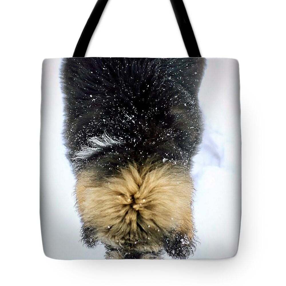 Dog Tote Bag featuring the photograph Snow Day by Carol Jorgensen