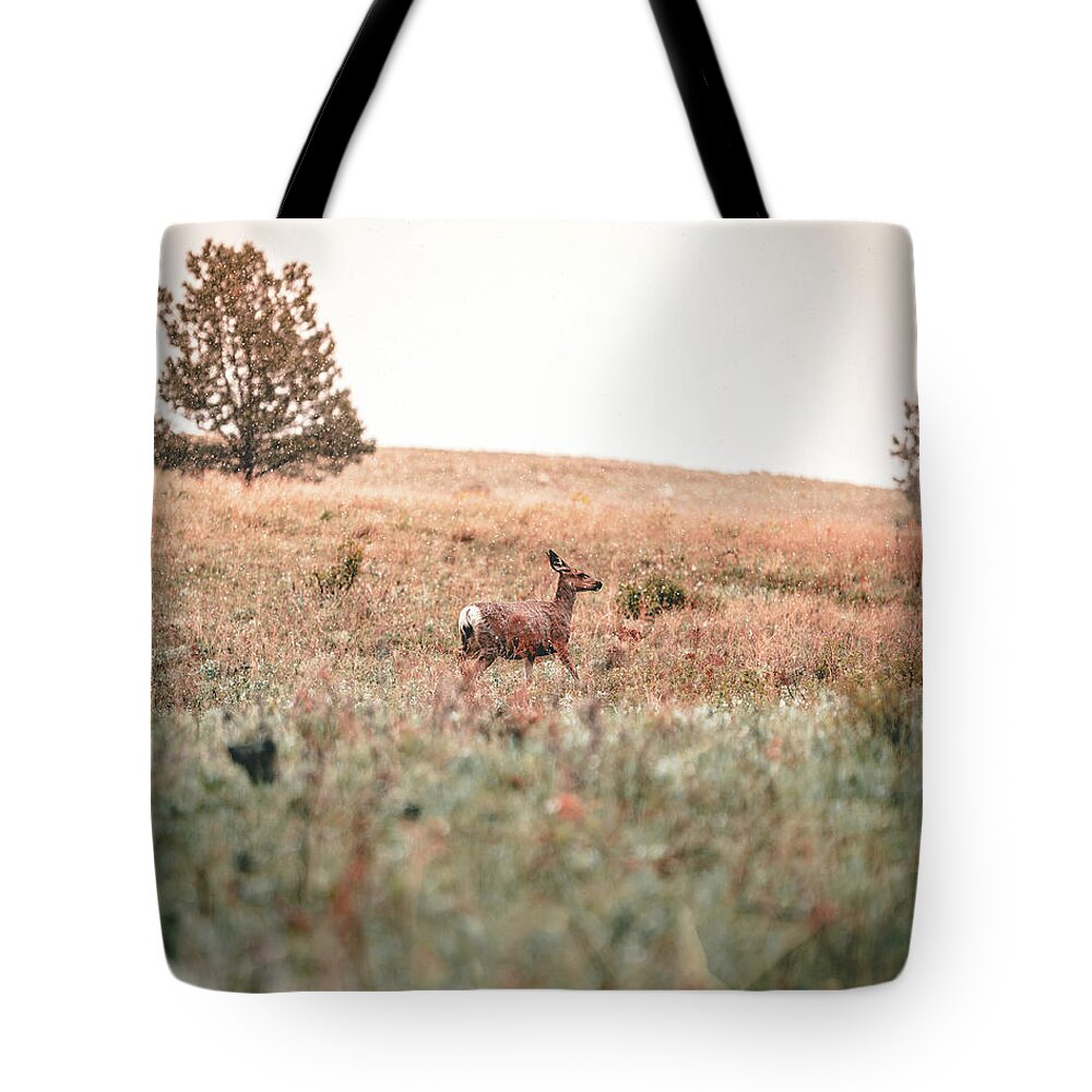  Tote Bag featuring the photograph Snow Doe by William Boggs