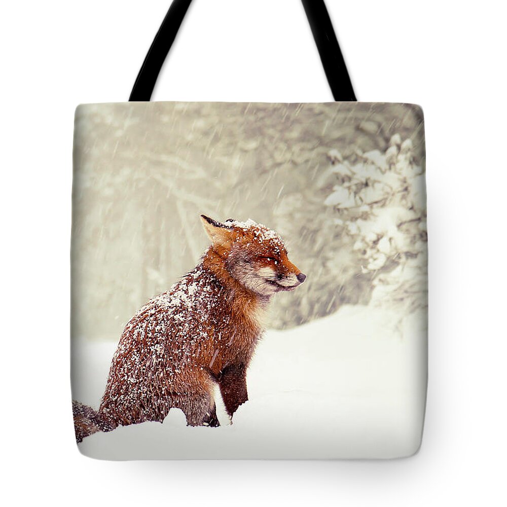 Red Fox In The Snow Tote Bag featuring the photograph Snow Fox Series - Dreaming of a White Christmas by Roeselien Raimond