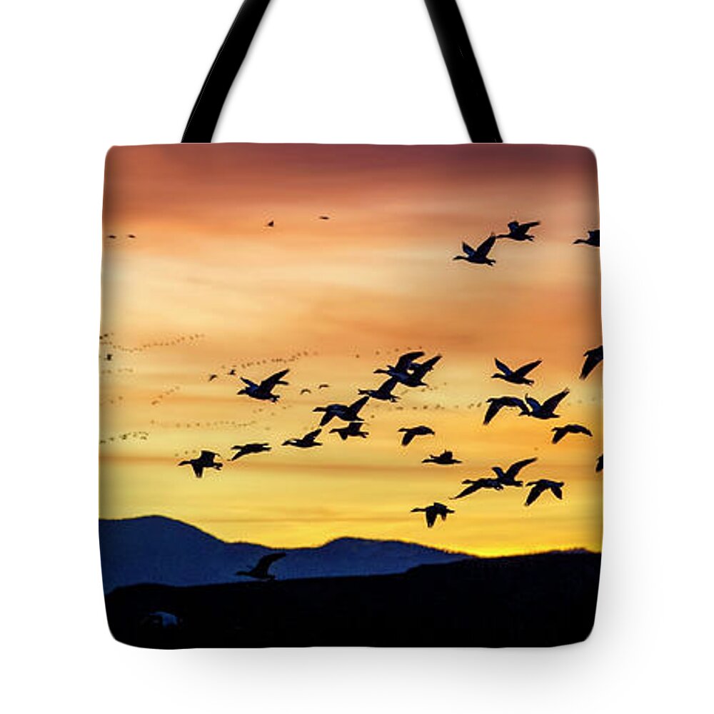 Snow Geese Tote Bag featuring the photograph Snow Geese Flying into the Sunset by Judi Dressler