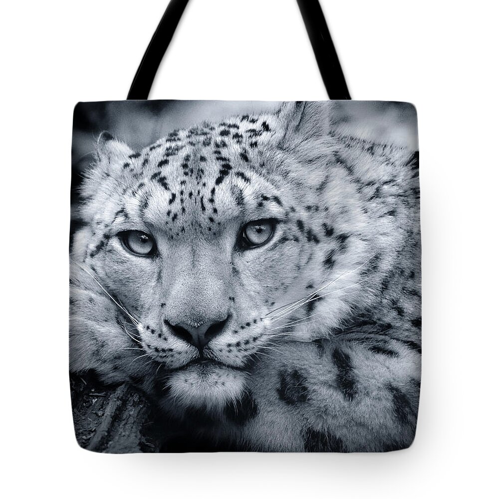Snow Leopard Tote Bag featuring the photograph Snow Leopard Portrait - Request by Chris Boulton