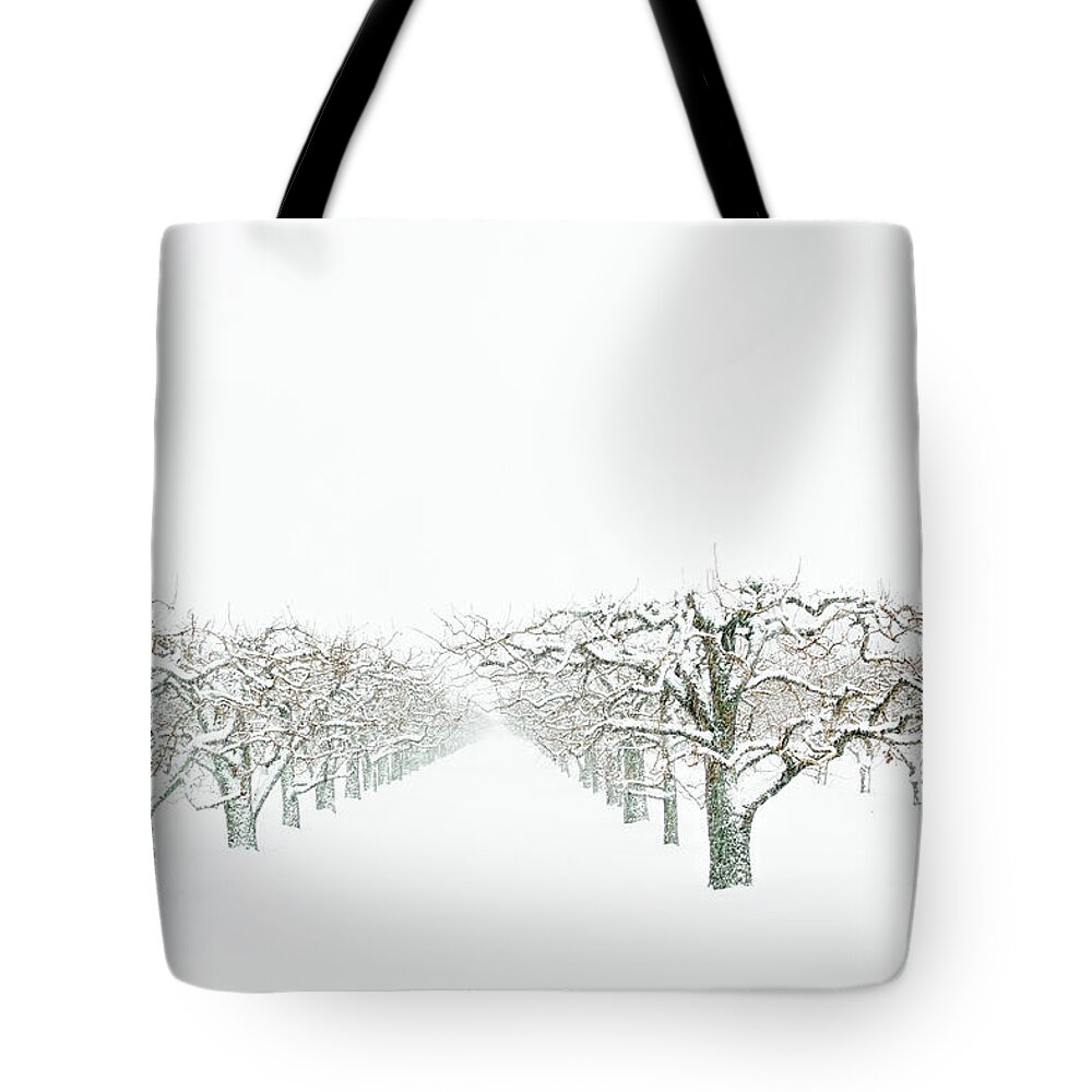 Charles Daley Pari Tote Bag featuring the photograph Snow Orchard by Marilyn Cornwell