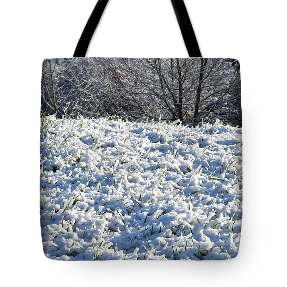 Snow Tote Bag featuring the photograph Snow by Phil Perkins