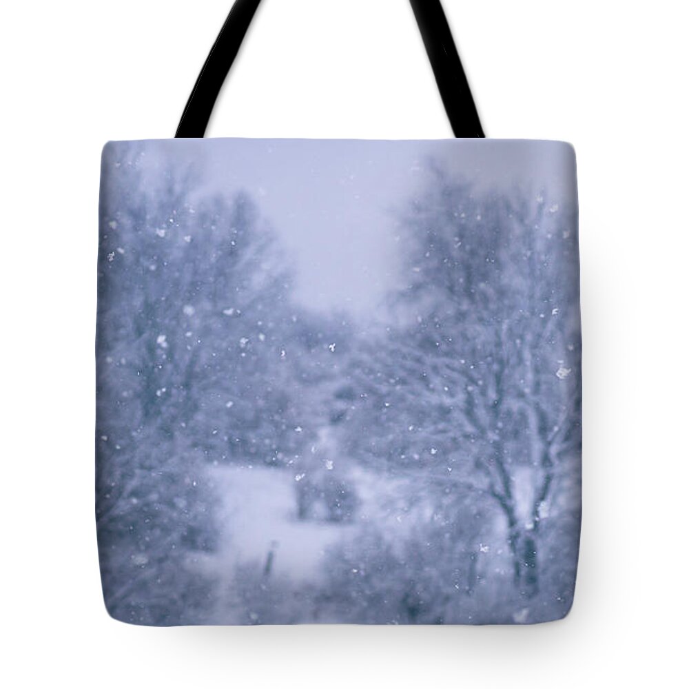 Snowfall Tote Bag featuring the photograph Snowfall on the Preserve by Jason Fink