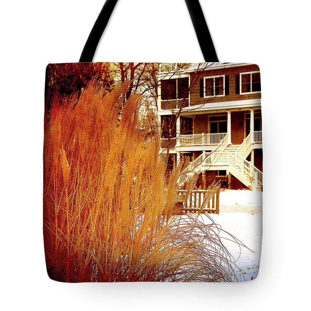 Snow Tote Bag featuring the photograph Snowy Day Fun by Milena Ilieva