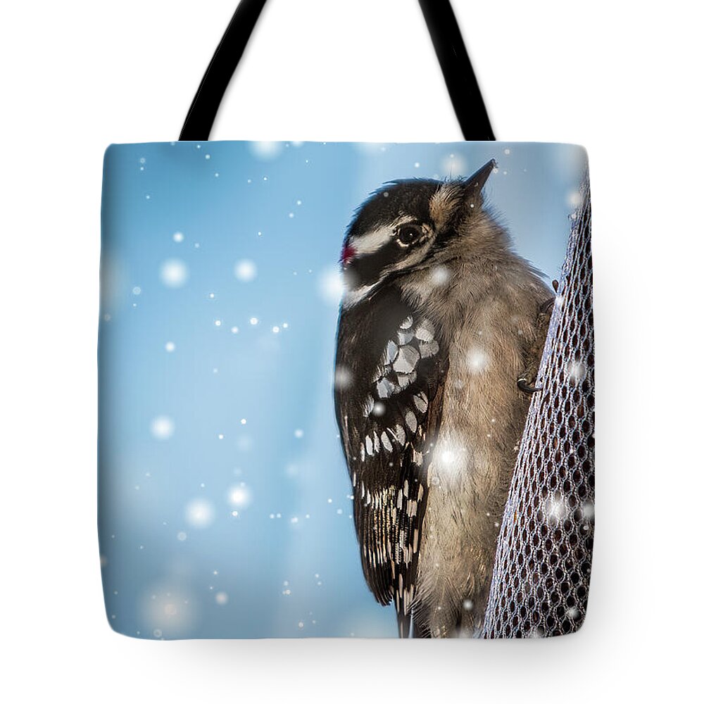 Woodpecker Tote Bag featuring the photograph Snowy Downy Woodpecker by Patti Deters
