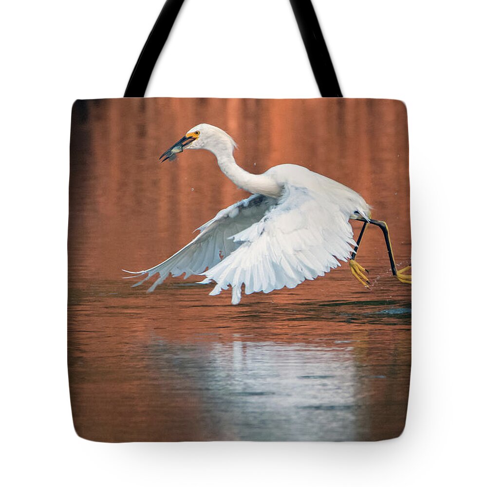 Snowy Egret Tote Bag featuring the photograph Snowy Egret 7967-082520-2 by Tam Ryan