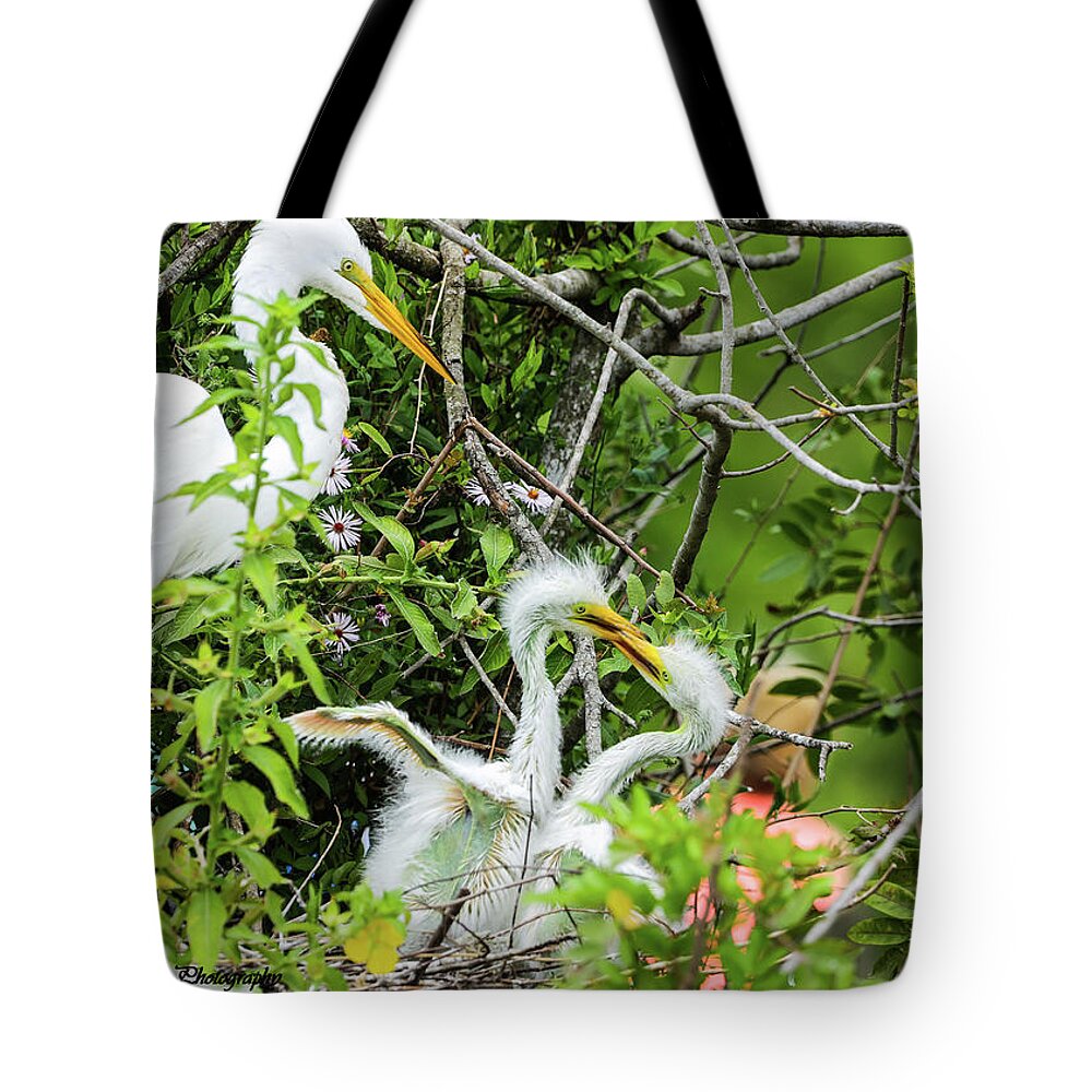 Egret Tote Bag featuring the photograph Snowy Egret and her babies by Tahmina Watson