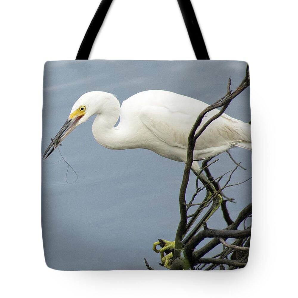 Birds Tote Bag featuring the photograph Snowy Egret Enjoying a Shrimp Meal by Bruce Gourley