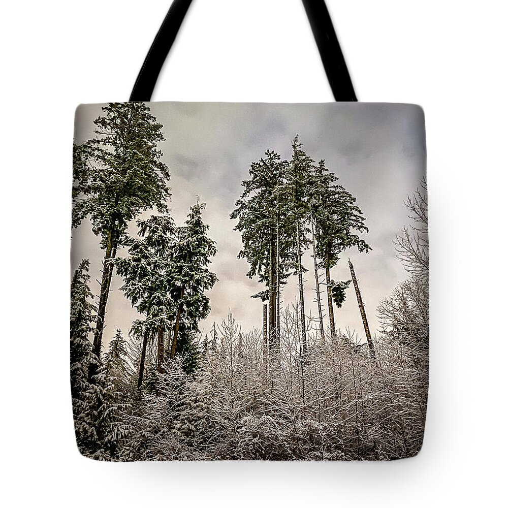 Forest Tote Bag featuring the photograph Snowy Forest by Anamar Pictures