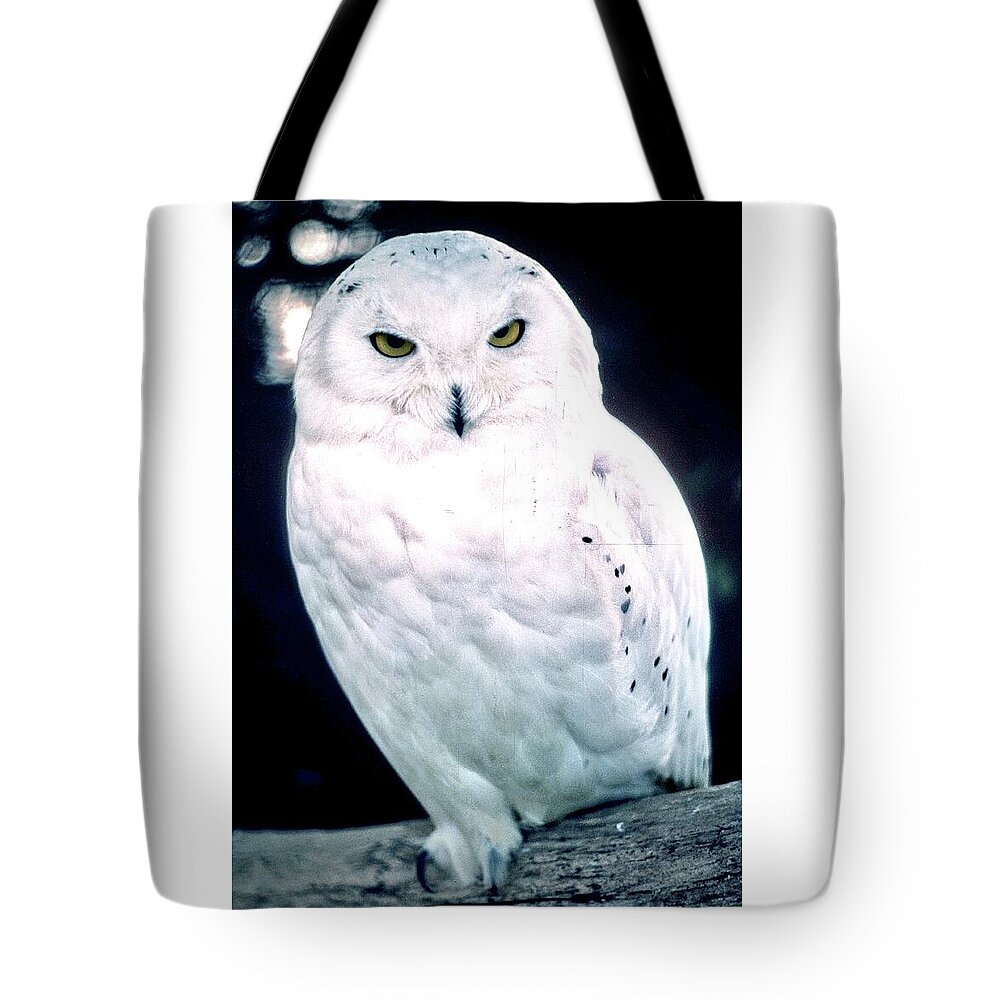 Snowy Tote Bag featuring the photograph Snowy Owl by Gordon James