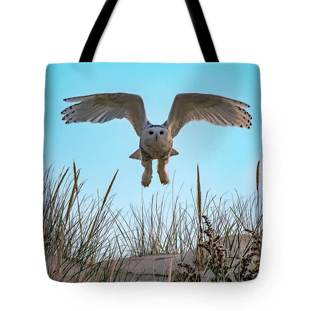 Owl Tote Bag featuring the photograph Snowy Owl In Flight by Cathy Kovarik