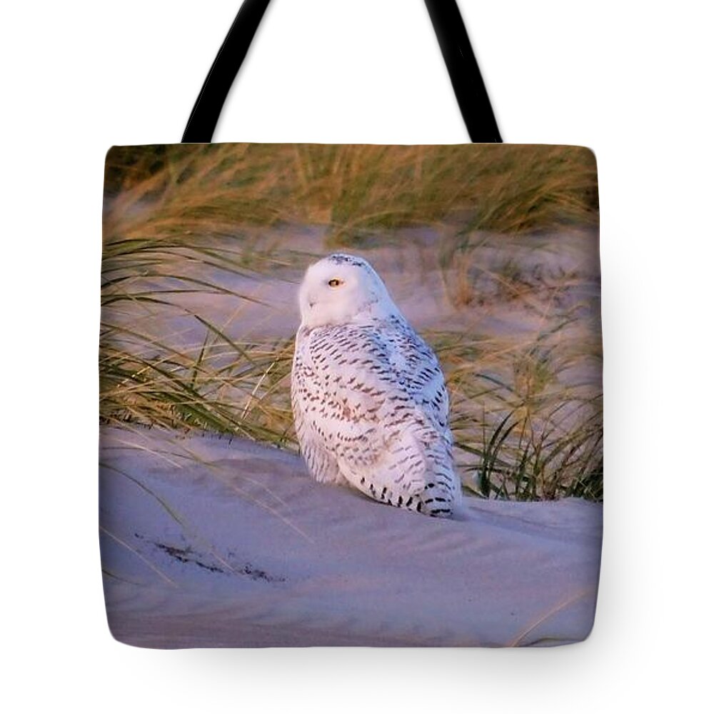 - Snowy Owl Tote Bag featuring the photograph - Snowy Owl by THERESA Nye