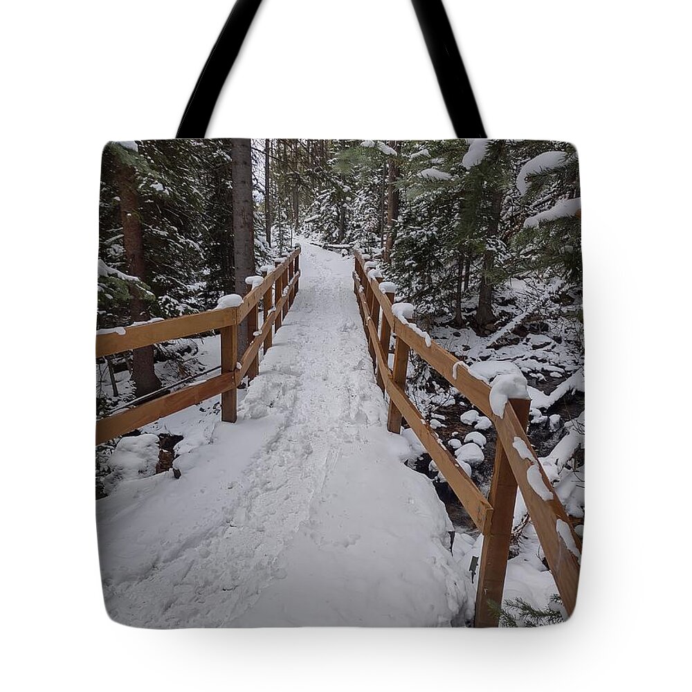 Landscape Tote Bag featuring the photograph Snowy pathway by Erin Mitchell