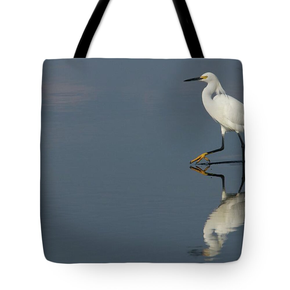 Florida Tote Bag featuring the photograph Snowy Stroll by Melissa Southern