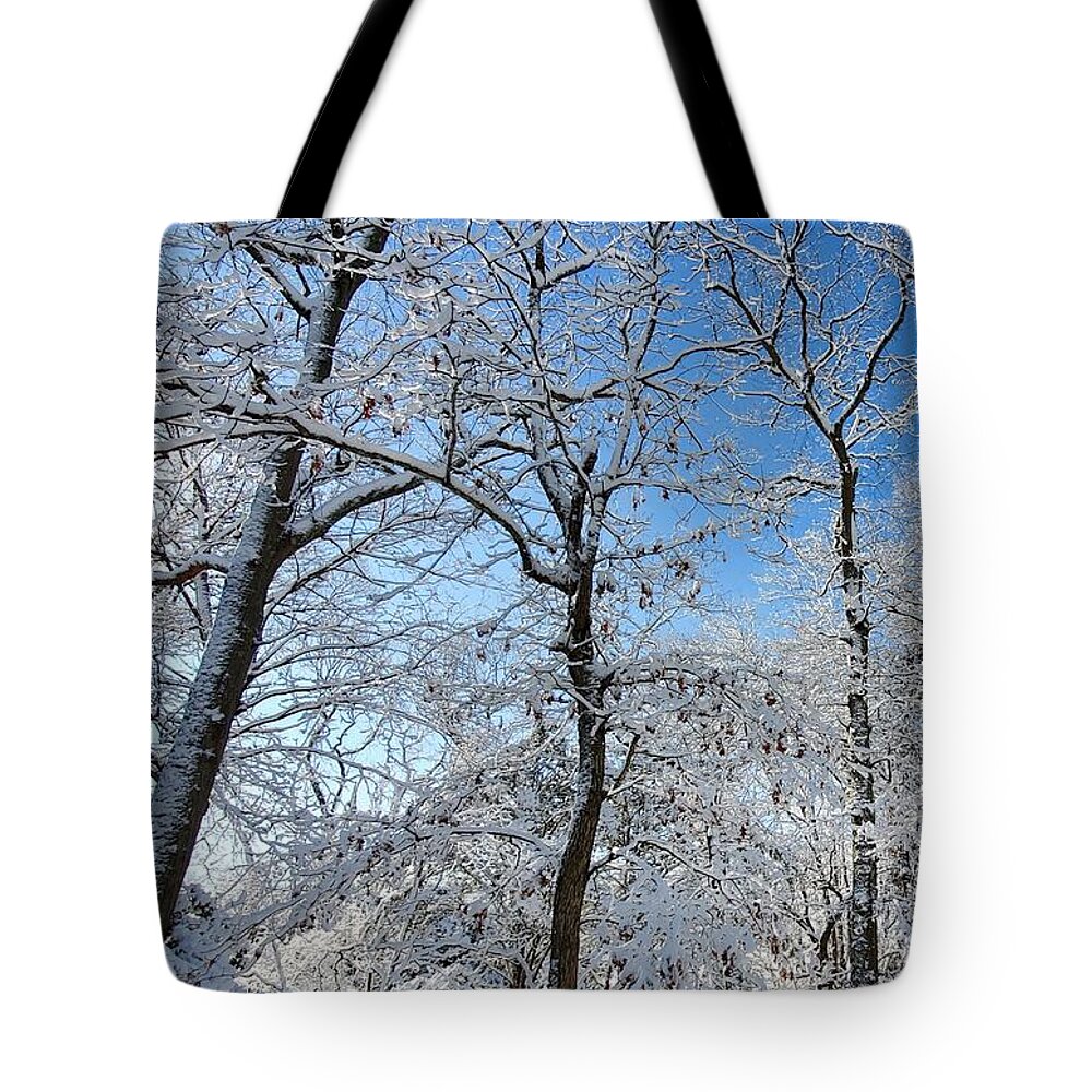 Snow Covered Tote Bag featuring the photograph Snowy Trees and Blue Sky by Stacie Siemsen