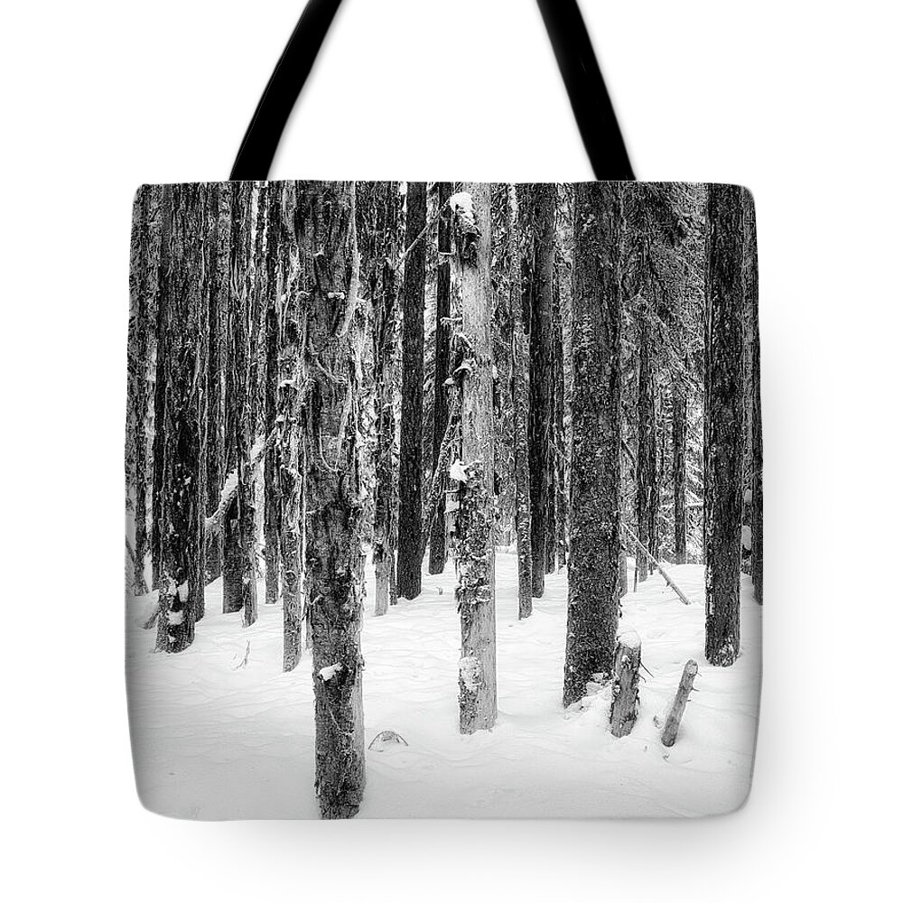 Black And White Photography Tote Bag featuring the photograph Snowy Trees Uniquely the Same by Allan Van Gasbeck