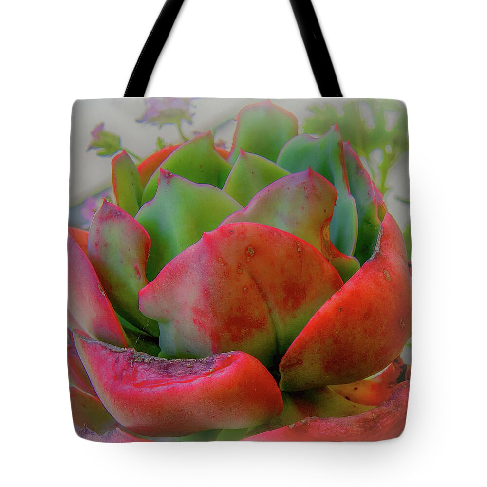 Botanical Tote Bag featuring the photograph Soft and Prickly at the Same Time by Marcy Wielfaert