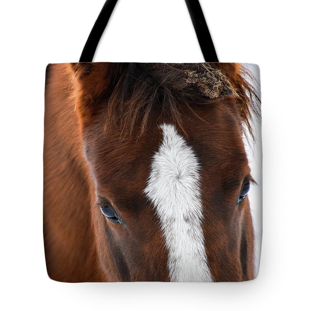 Winter Tote Bag featuring the photograph Soft Beauty by Listen To Your Horse