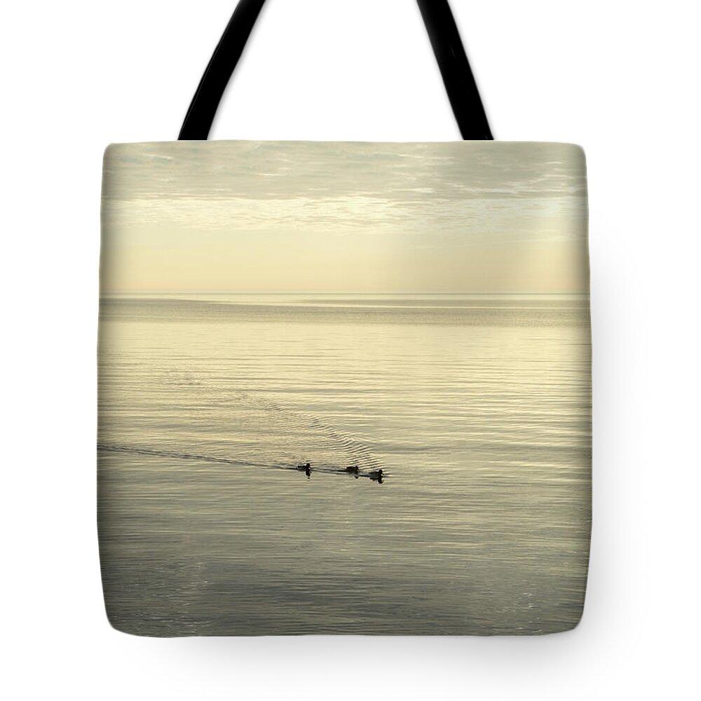 Soft Breeze Tote Bag featuring the photograph Soft Breeze and Pearly Ripples - a Trio of Ducks on a Lake by Georgia Mizuleva