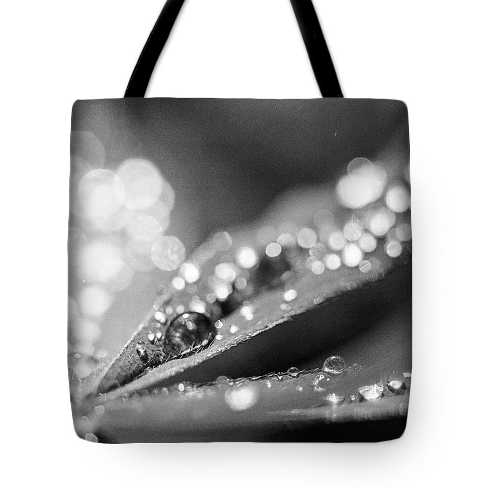 Macro Tote Bag featuring the photograph Soft drops by Maria Dimitrova
