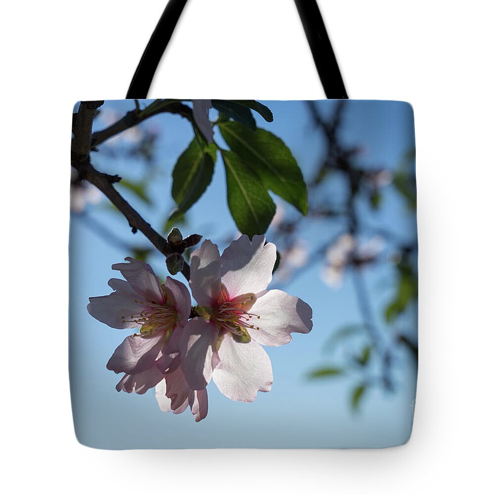 Almond Blossom Tote Bag featuring the photograph Soft pink petals and almond blossom in Spain by Adriana Mueller