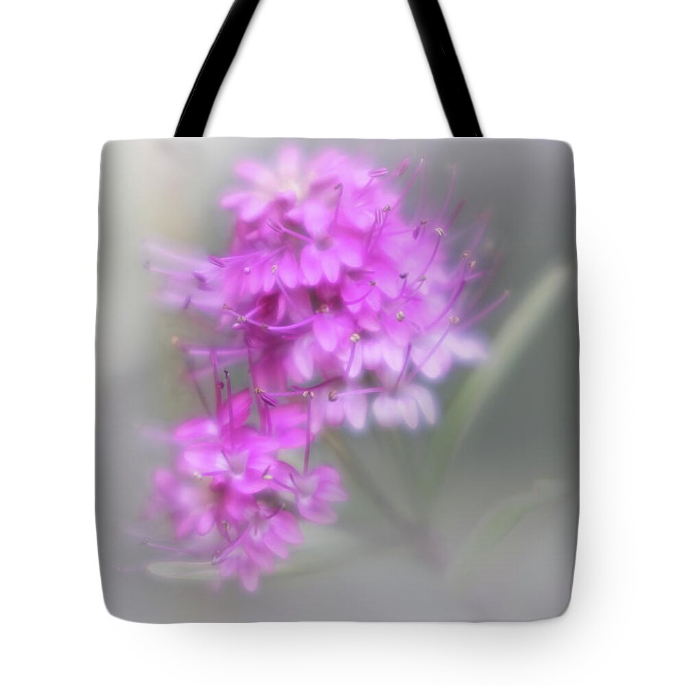 Flowers Tote Bag featuring the photograph Softly Hebe by Elaine Teague