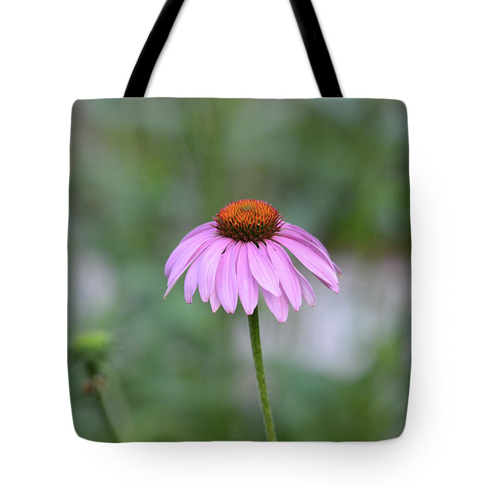 Pink Tote Bag featuring the photograph Solitary Cone Flower by Whispering Peaks Photography
