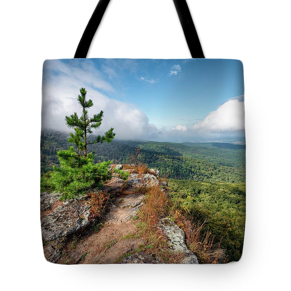 Arkansas Tote Bag featuring the photograph Solitary Pine by James Barber