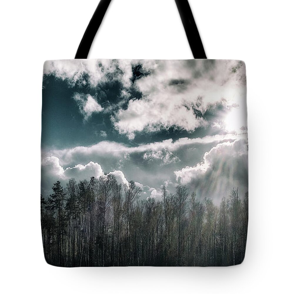 Sky Tote Bag featuring the photograph Solitude Forest by Andrii Maykovskyi