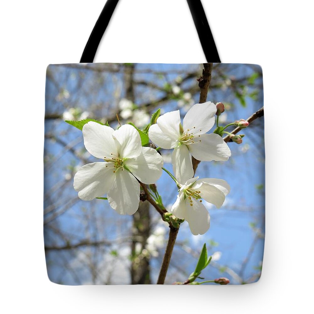 Blossoms Tote Bag featuring the photograph Some Macon Cherry Blossoms by Ed Williams