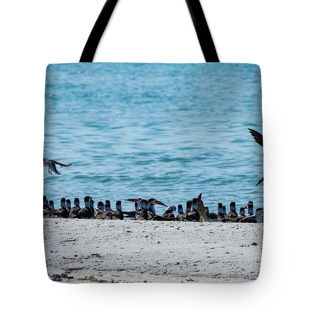 Black Skimmer Tote Bag featuring the photograph Someone Always Wants to Cut in Line by L Bosco