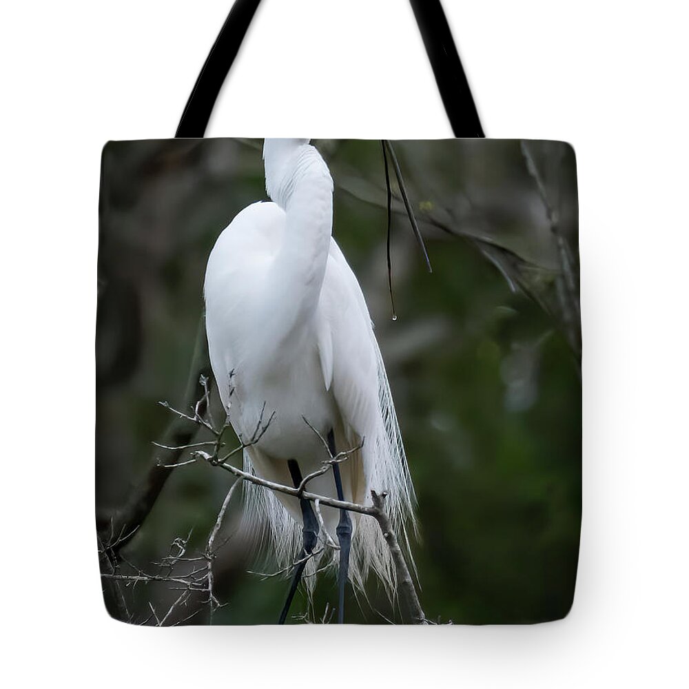 Egret Tote Bag featuring the photograph Someting For My Nest by Ginger Stein