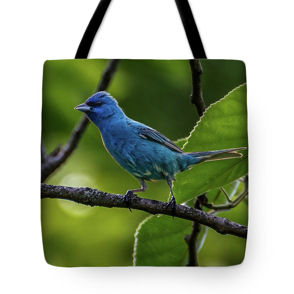 Avian Tote Bag featuring the photograph Song of the Indigo Bunting by Brian Shoemaker