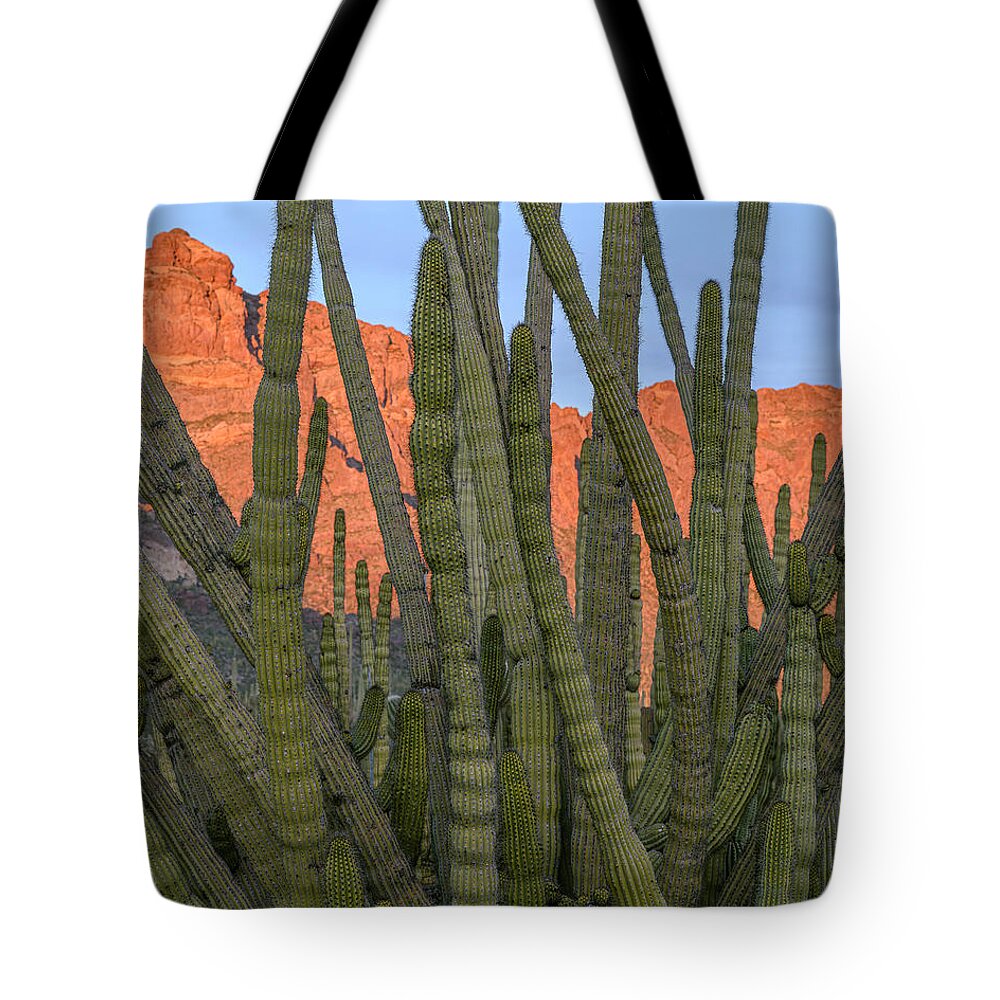 Ajo Mountain Drive Tote Bag featuring the photograph Sonora Obscura by James Covello