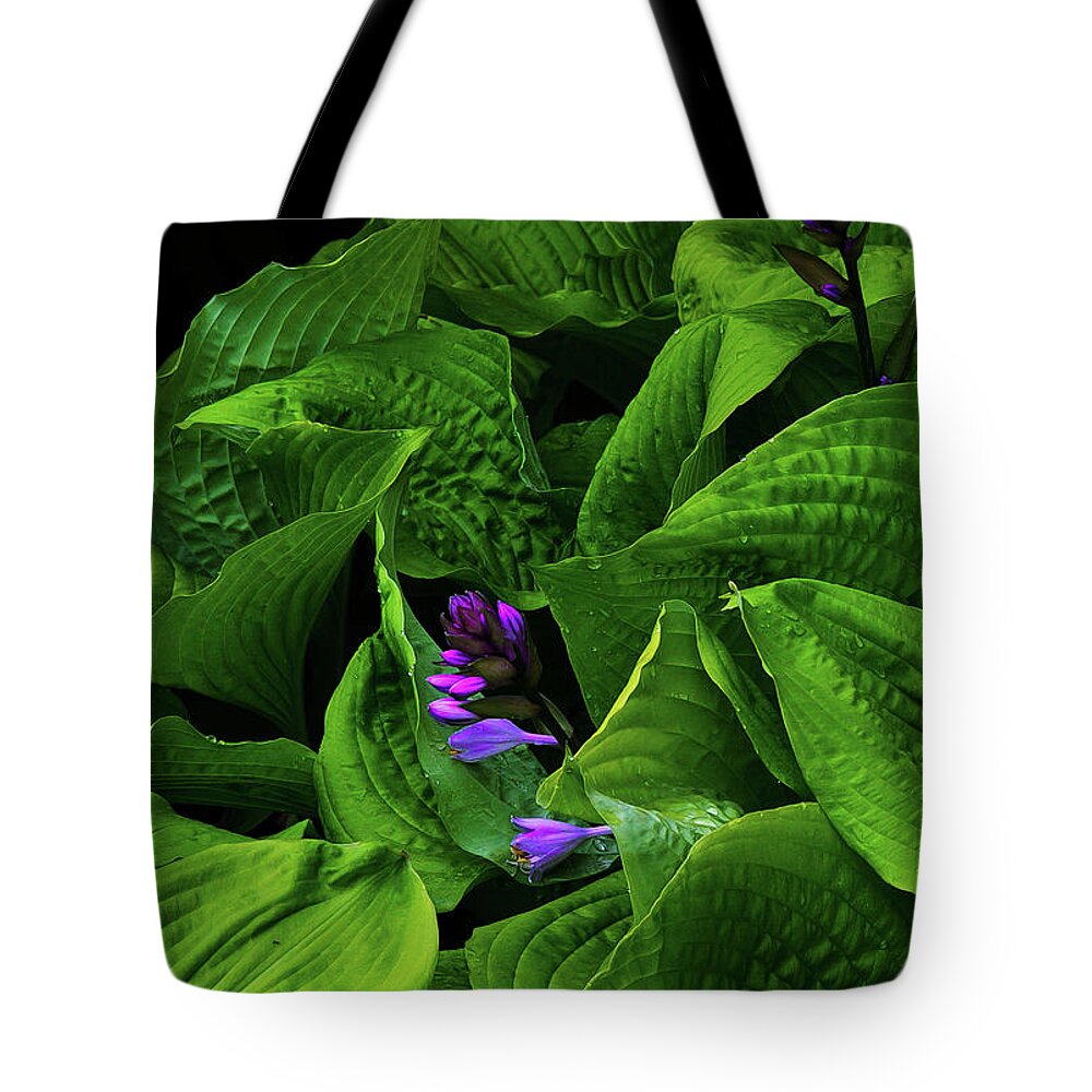 Sunset Tote Bag featuring the photograph Soon to be Bloomers by G Lamar Yancy