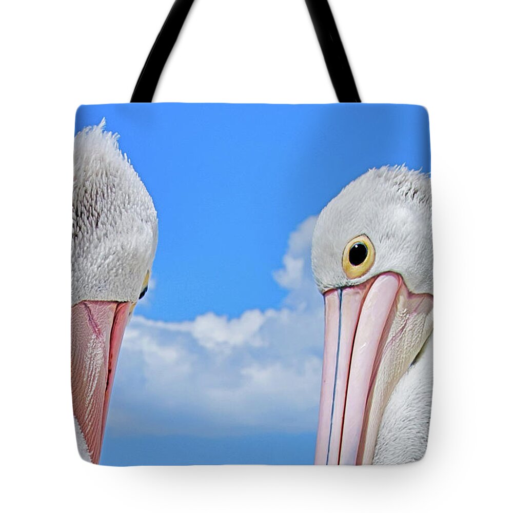 Sorry Tote Bag featuring the photograph Sorry by Az Jackson