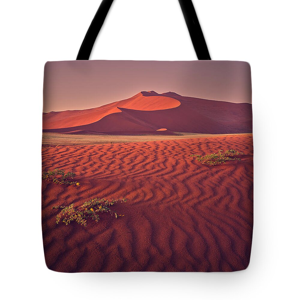 Sossusvlei Tote Bag featuring the photograph Sossusvlei at Dawn by Peter Boehringer