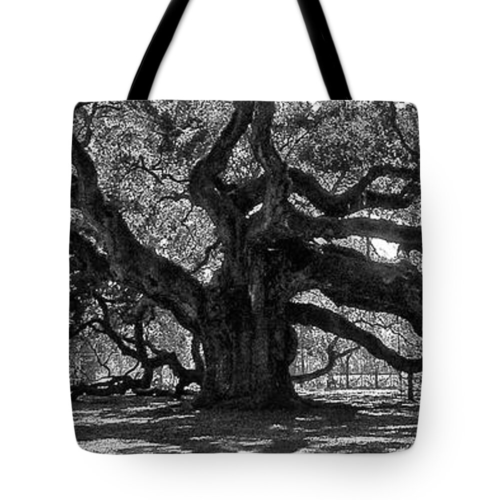 Angel Oak Tote Bag featuring the photograph Southern Angel Oak Tree by Louis Dallara