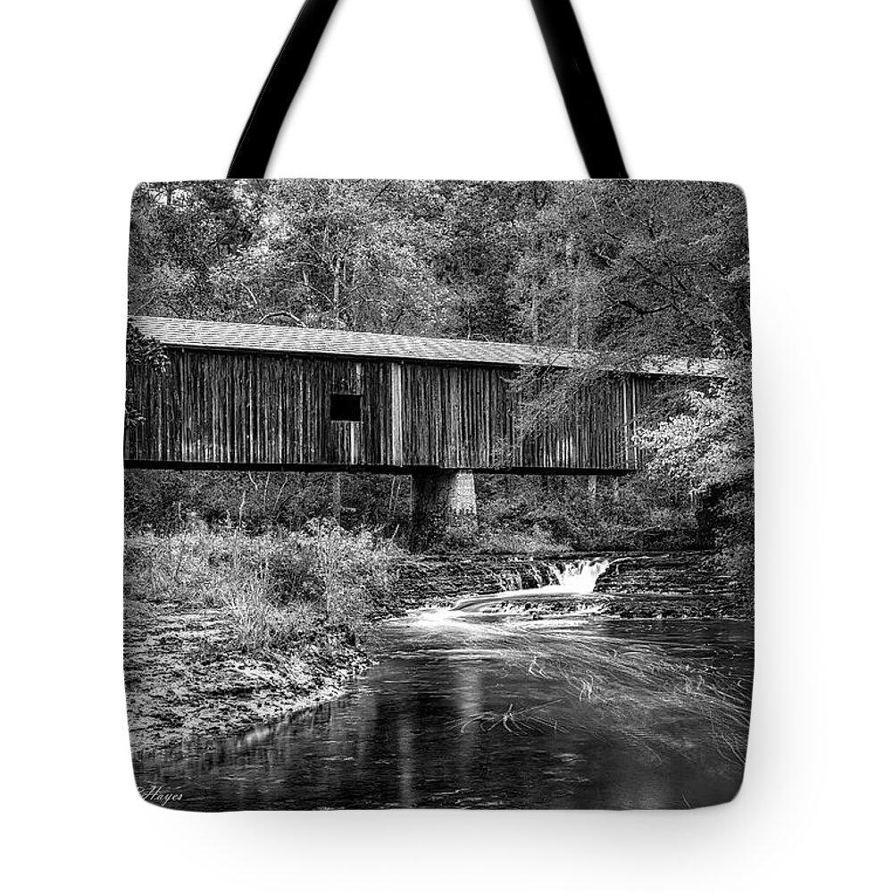 Black And White Tote Bag featuring the photograph Southern Gem III in Black and White by DB Hayes