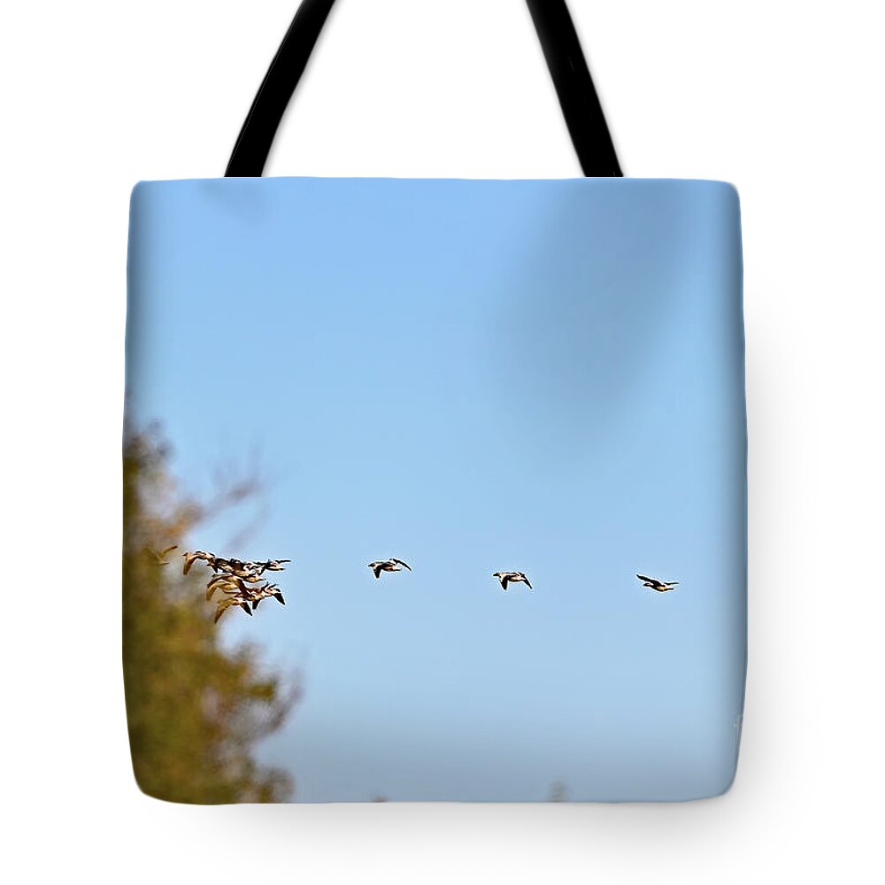 Waterfowl Tote Bag featuring the photograph Space Jam - Snow Geese by Amazing Action Photo Video
