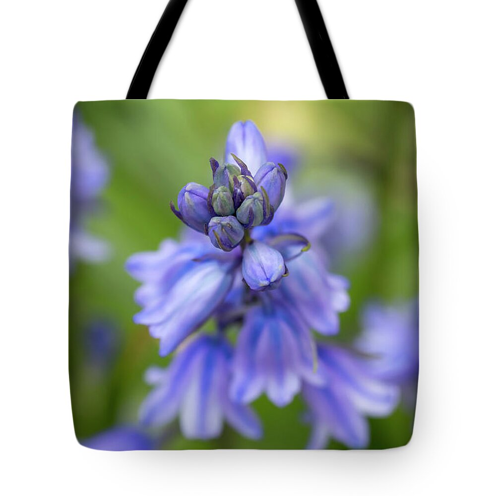 Flower Tote Bag featuring the photograph Spanish Bluebells 4 by Dawn Cavalieri