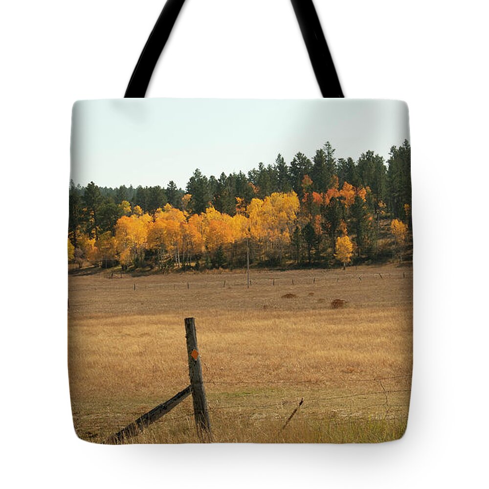 Fall Colors Tote Bag featuring the photograph Spark of Golden Fall by Cathy Anderson