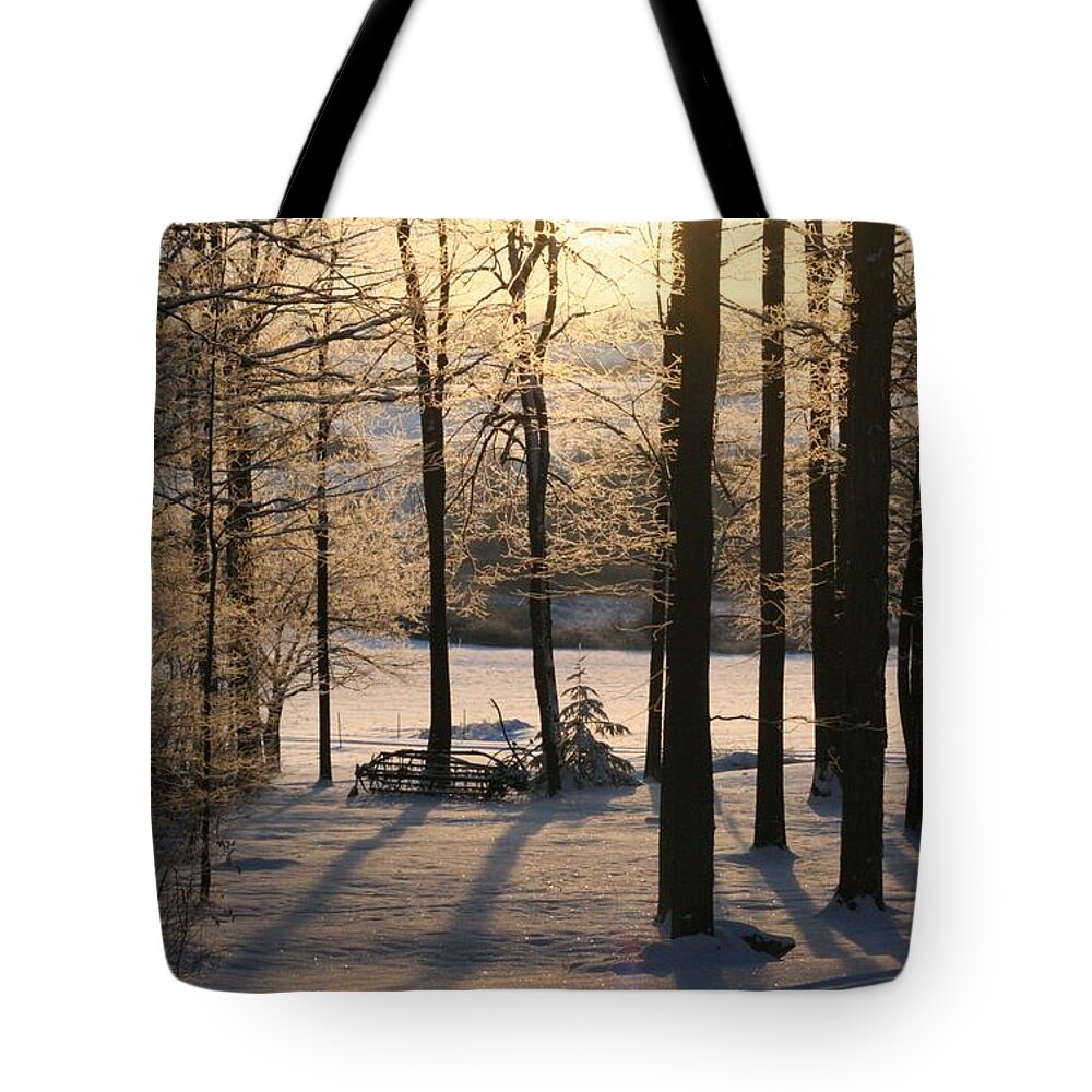 Snow Tote Bag featuring the photograph Sparkling Frosty Morning by Patricia Overmoyer