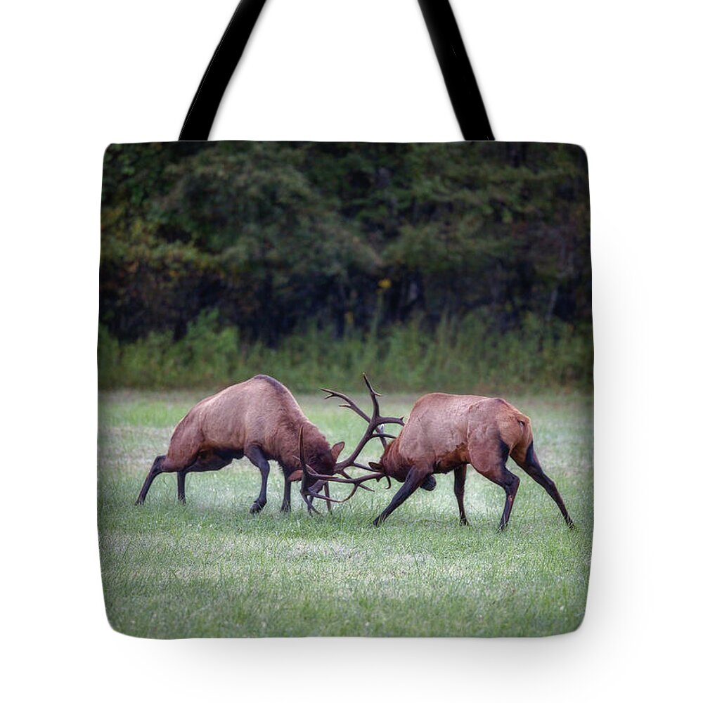 Great Smoky Mountains National Park Tote Bag featuring the photograph Sparring Elk #3 by Robert J Wagner