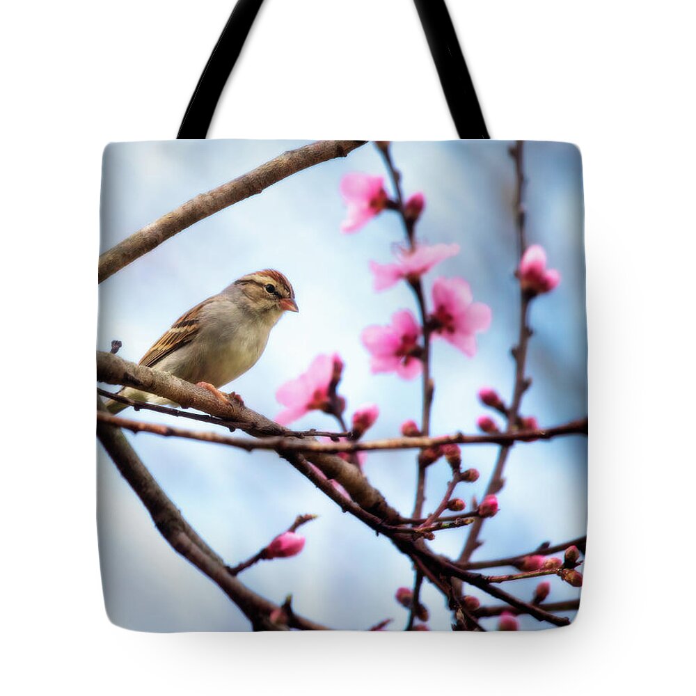 Sparrow Tote Bag featuring the photograph Sparrow Perched In Peach Blossoms by Laura Vilandre