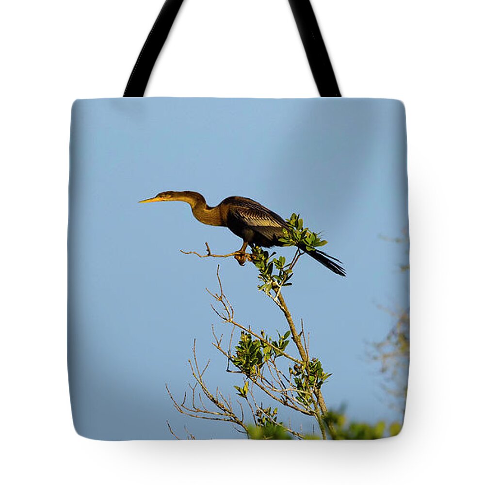 R5-2633 Tote Bag featuring the photograph Speedster by Gordon Elwell